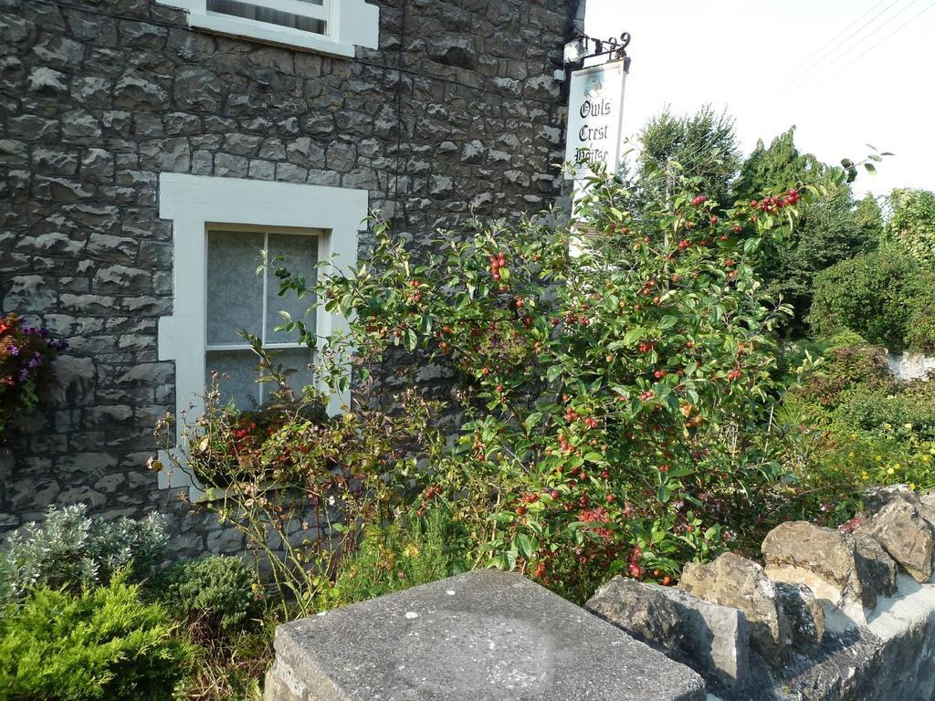 The Owls Crest House B&B Weston-super-Mare Exterior foto